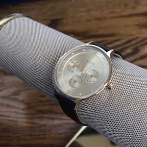 Black and gold skagen